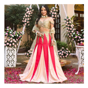 🌸 Blush & Crimson Panelled Lehenga Set – Made for the Spotlight