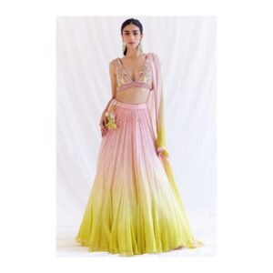 Ombre pastel pink & lime yellow lehenga set